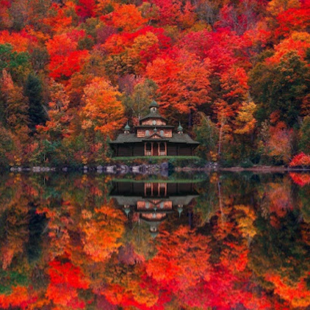 Meet your Posher, Judy